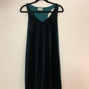 BNWT brand new without tags EVERLY dress